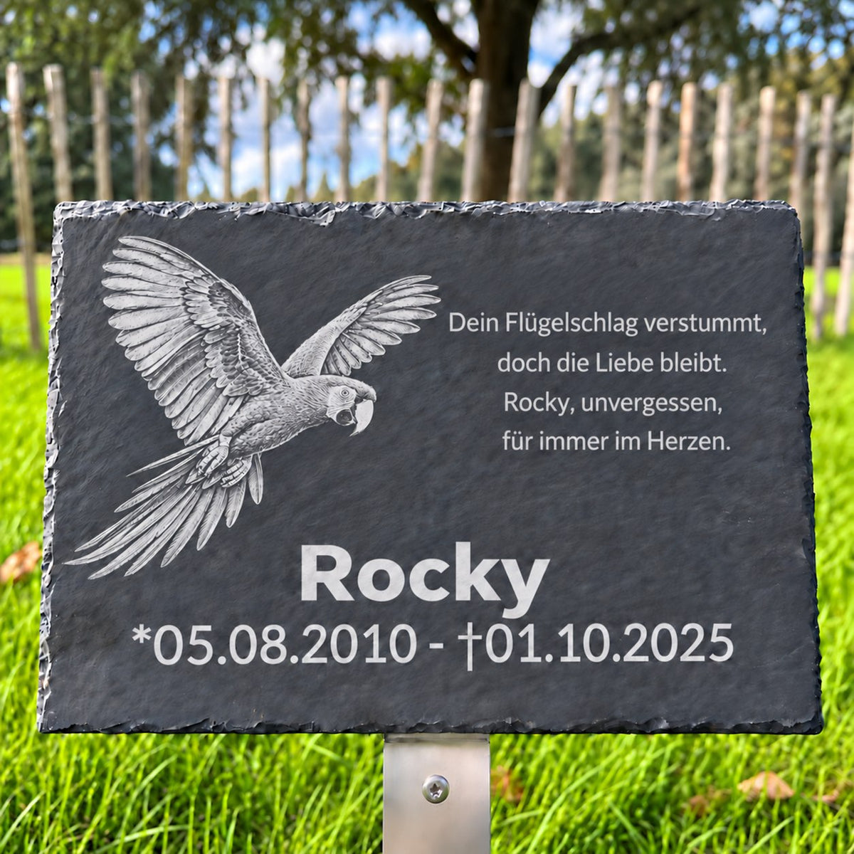Personalisierte Tiergedenktafel aus Schiefer für Papagei Rocky mit graviertem Papageienmotiv, Name, Lebensdaten und Trauerspruch.
