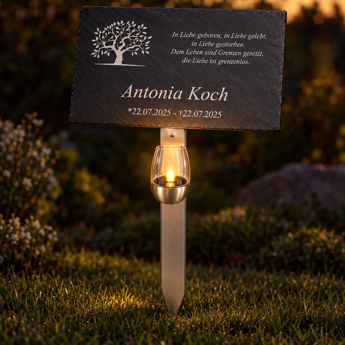 Personalisierte Schiefer-Gedenktafel für Antonia Koch mit Lebensbaum-Motiv, Edelstahl-Erdspieß und warm leuchtendem LED-Gedenklicht aus Glas und Edelstahl in der Abenddämmerung.
